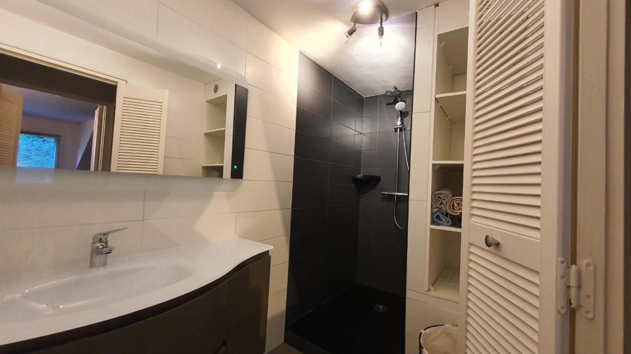 Charmant Duplex Face Au Lac Sévrier Екстериор снимка