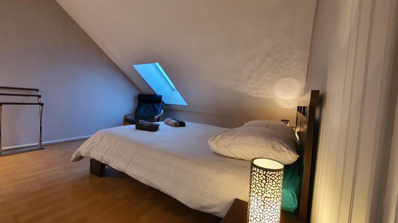 Charmant Duplex Face Au Lac Sévrier Екстериор снимка